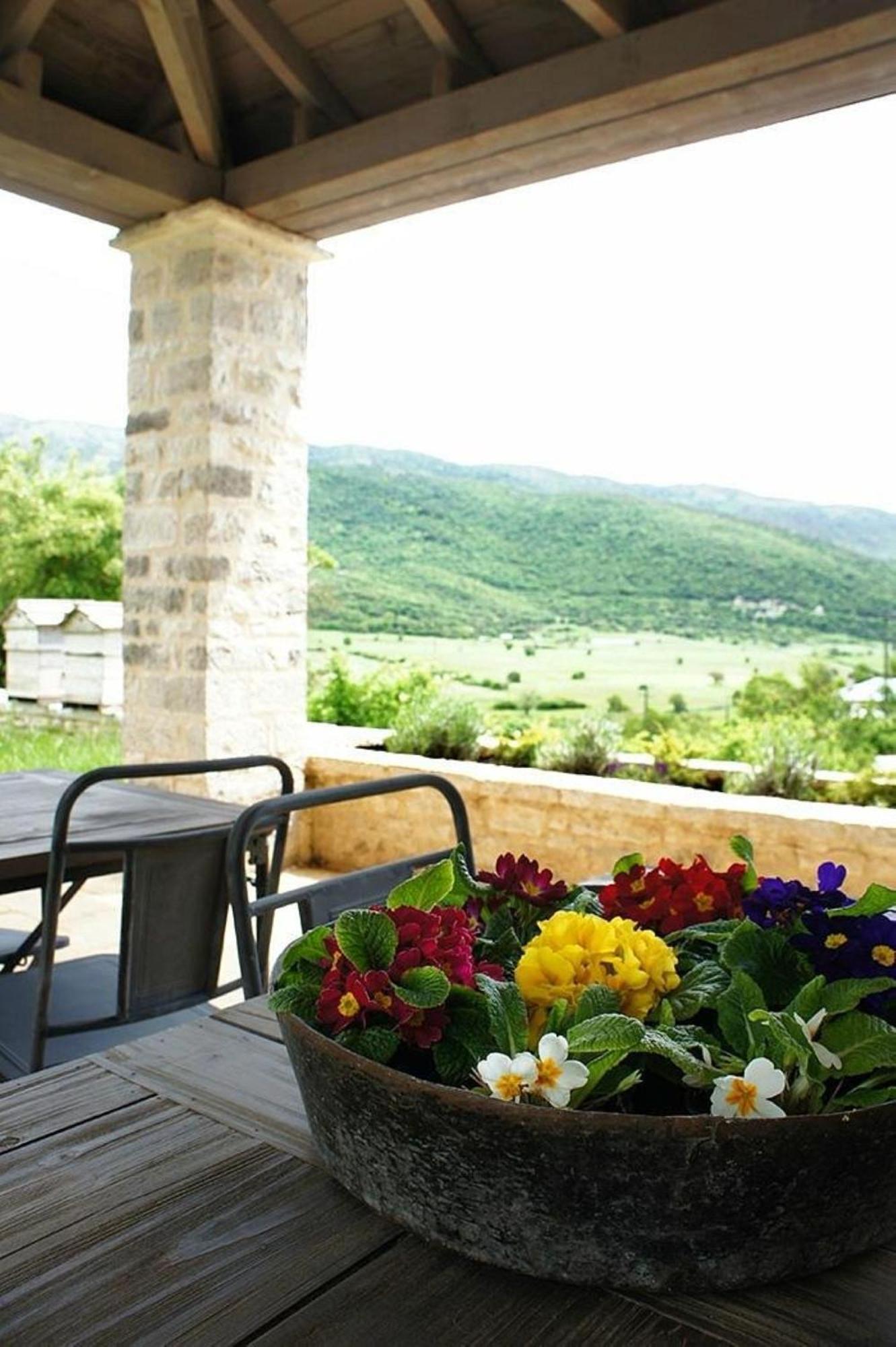 "Apeiros Chora" Hotel, Zagori Kato Pedina エクステリア 写真