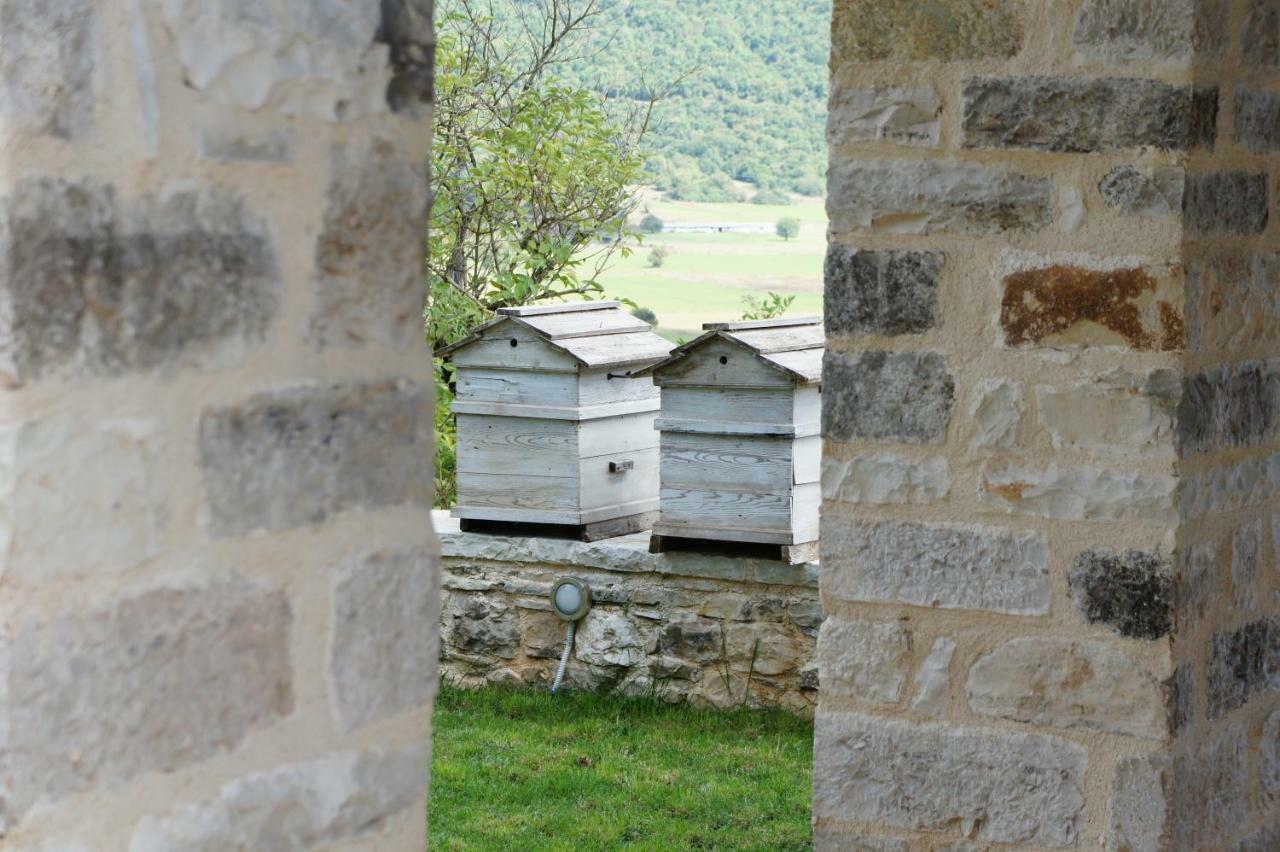 "Apeiros Chora" Hotel, Zagori Kato Pedina エクステリア 写真